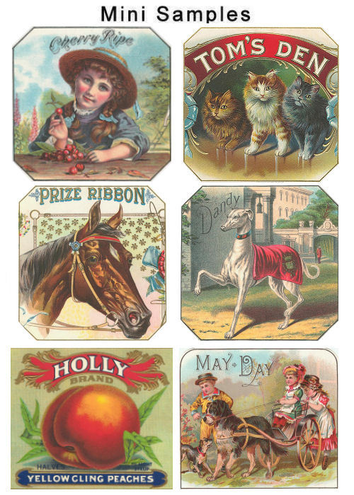 Product picture Vintage Label Images over 700 Images