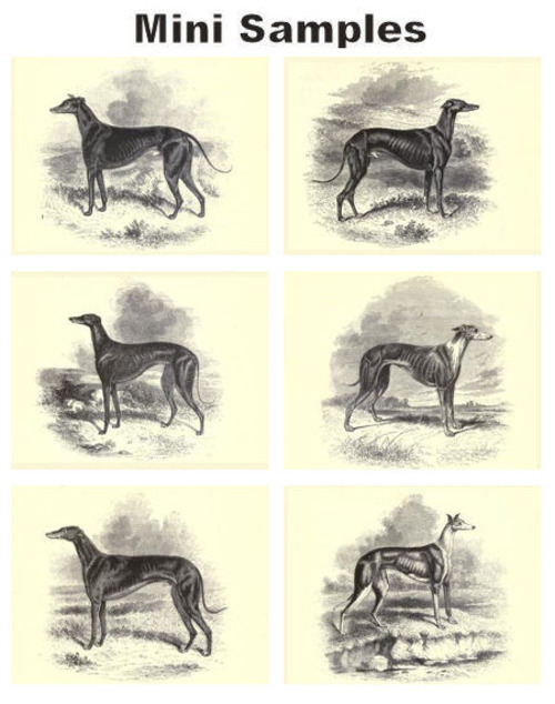 Product picture All about Dogs Vintage PDF Books