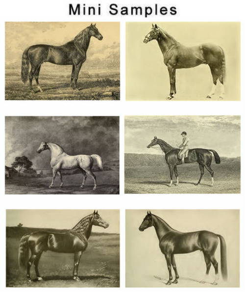 Product picture All about Horses vintage PDF books